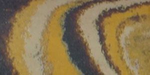 Yellow, Beige & Black Tri Color