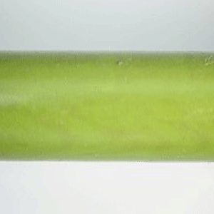 E2008-Parrot Green and Purple Twin Color Ebonite Rod