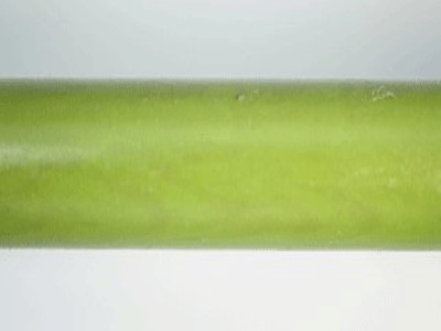 E2008-Parrot Green and Purple Twin Color Ebonite Rod