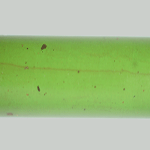 E2018-Green and Grey Twin Color Ebonite Rod