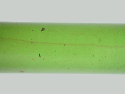 E2018-Green and Grey Twin Color Ebonite Rod