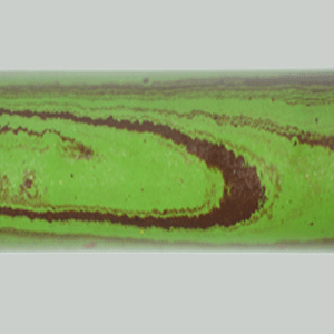 E2019-Green and Black Tri Color Ebonite Rod