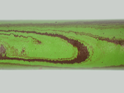 E2019-Green and Black Tri Color Ebonite Rod