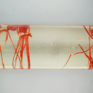 RCS1001-Saffron Resin Rod