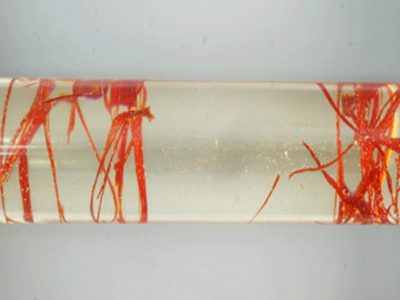 RCS1001-Saffron Resin Rod