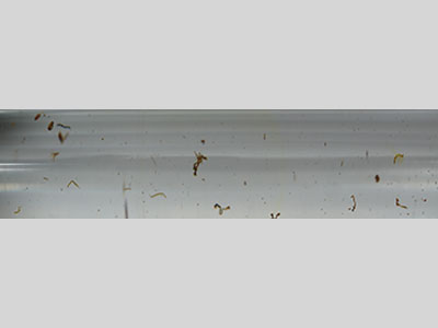 RCS1004 Transparent With Pollen Powder Color Resin Rod